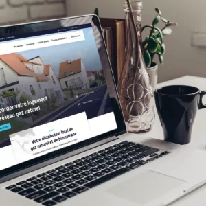 Mise en situation du site internet R-GDS